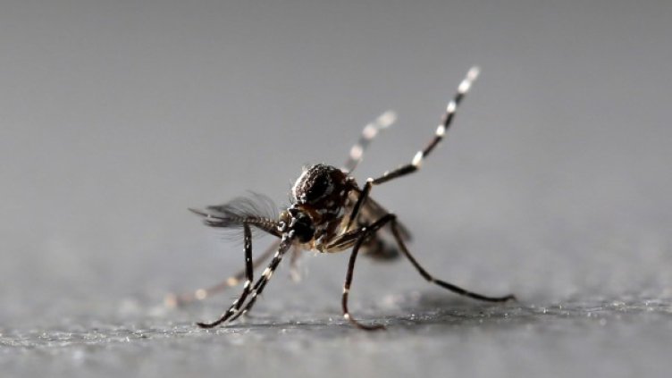 Снимка: Reuters, архив