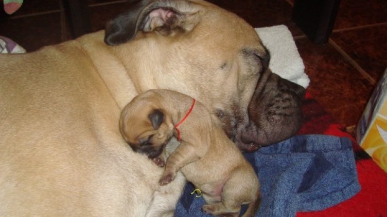 Снимка: Facebook