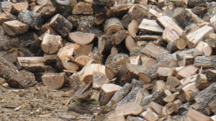 Снимка: Булфото, архив