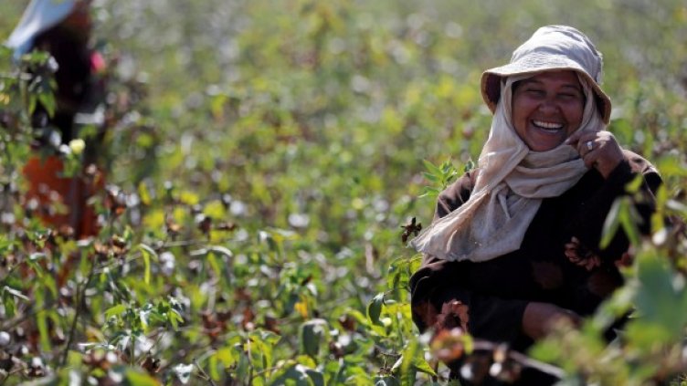 Снимка: Reuters, архив