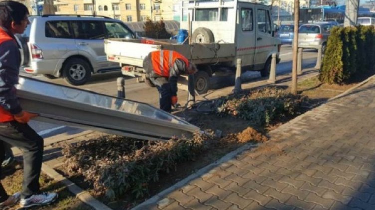 Снимка: Монитор