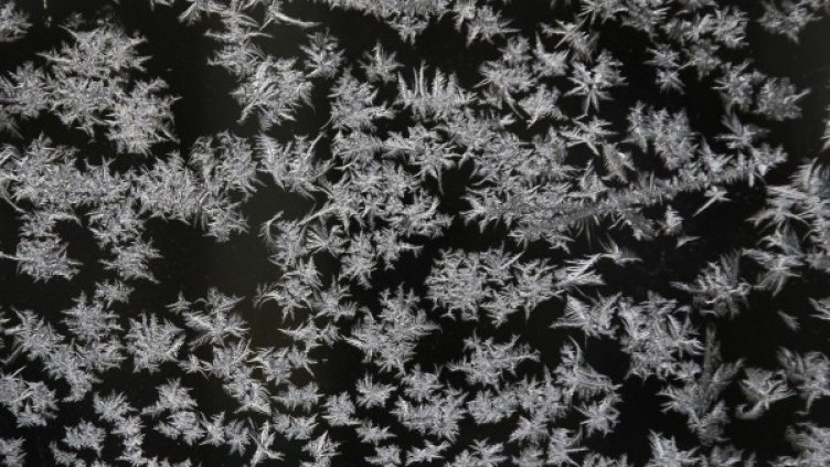 Снимка: архив Reuters