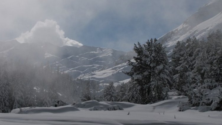 Снимка: ПСС