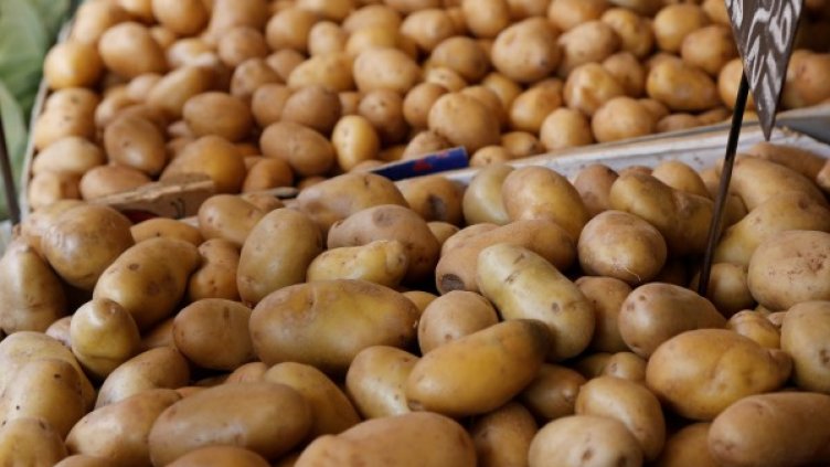 Снимка: Reuters, архив