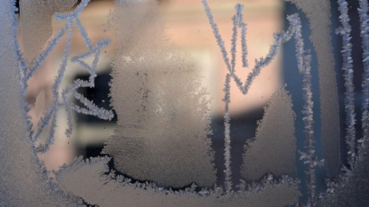 Снимка: Архив, Булфото