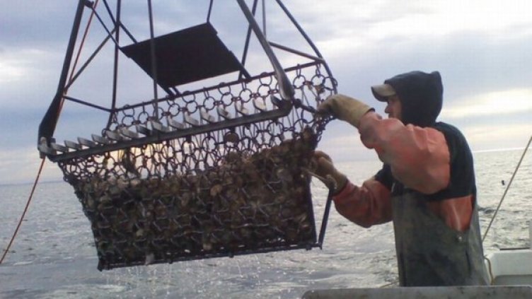 Снимка: Монитор