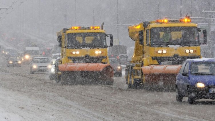 Архив: Булфото