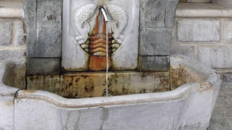 Снимка: Булфото, архив