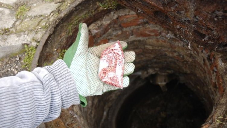 Снимка: Булфото, архив