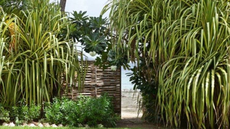 Снимка: variety.com