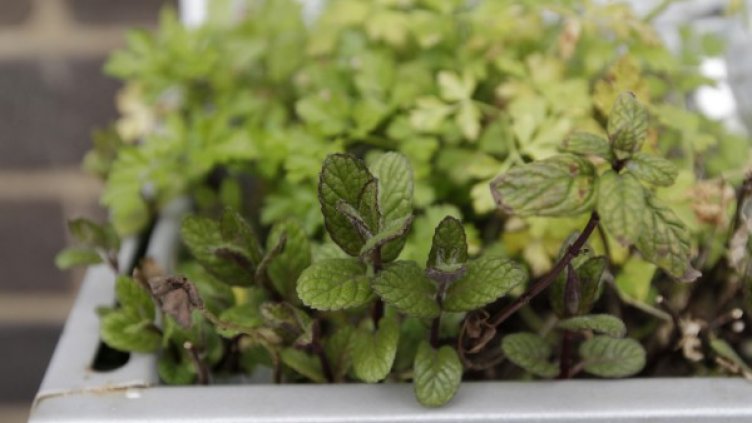 Снимка: Reuters