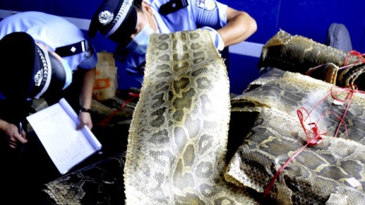 Снимка: Reuters, архив