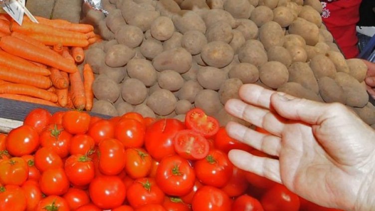 Снимка: архив, Булфото