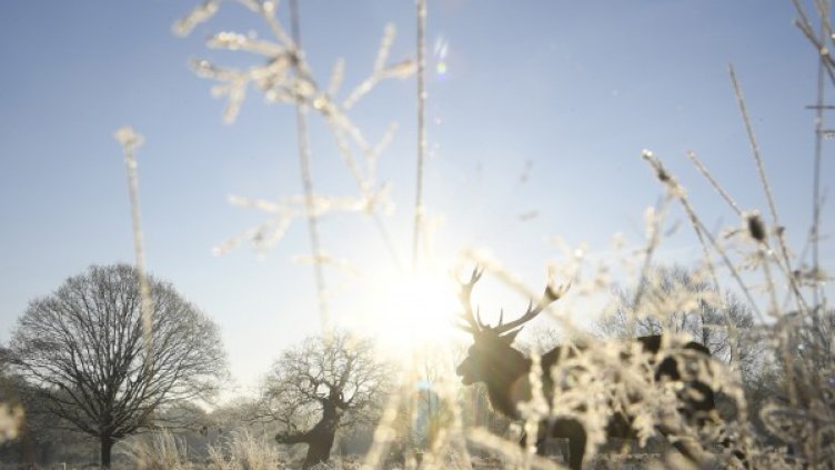 Снимка: Reuters, архив