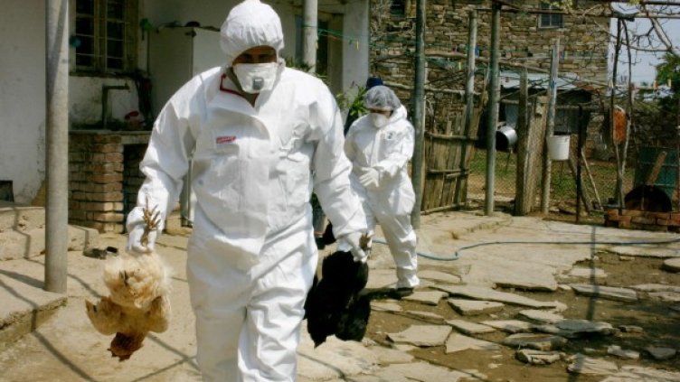 Снимка: архив "Булфото"