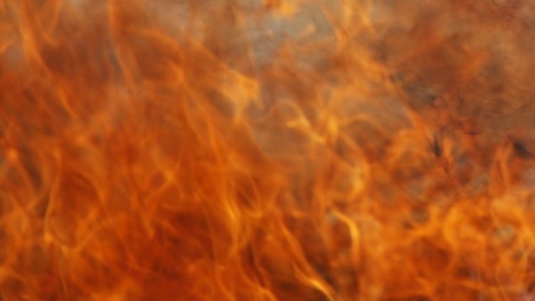 Снимка: Reuters, архив