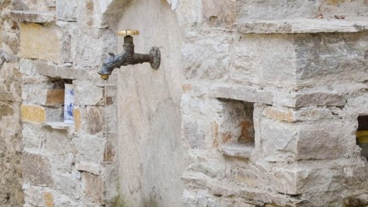 Снимка: Булфото