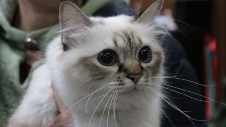 Снимка: Dnes.bg