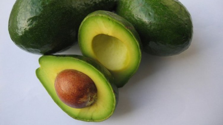 Снимка: freeimages