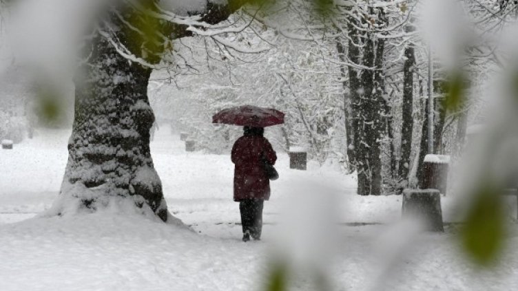 Снимка: Булфото