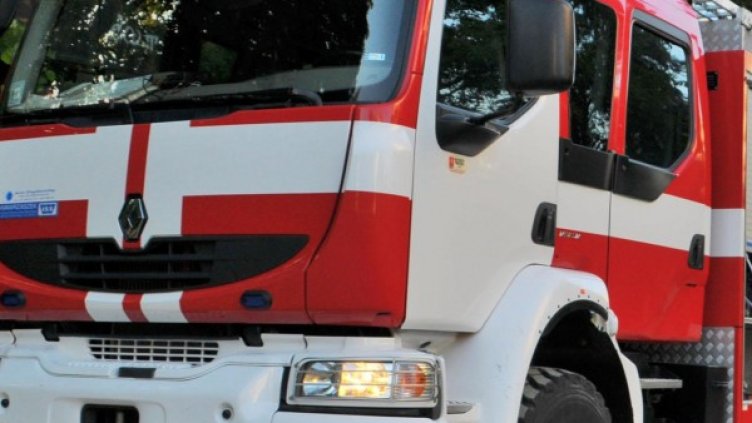 Снимка: Архив, Булфото