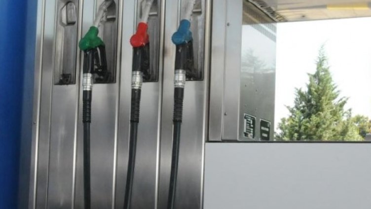 Архив: БУлфото