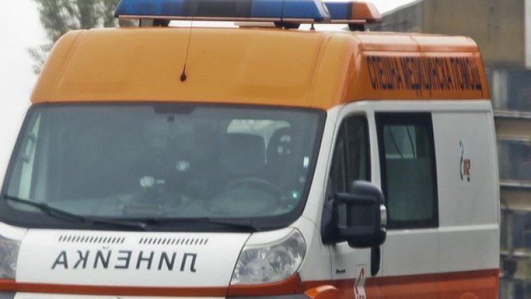 Снимка: Архив, Булфото