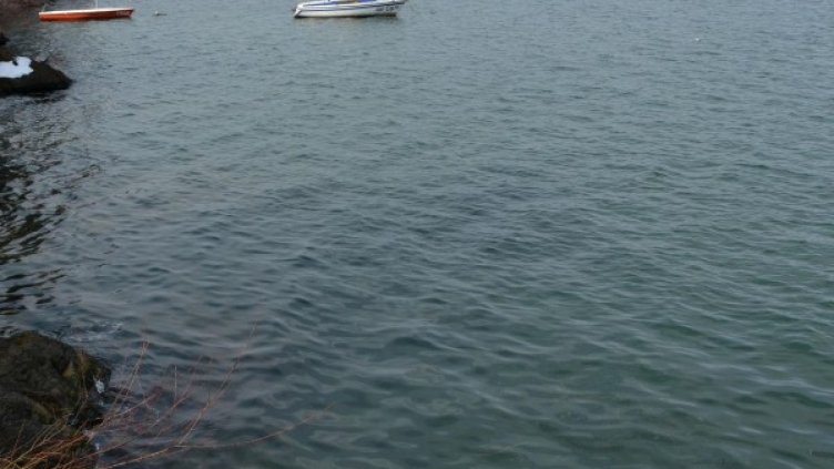 Снимка: архив, БулФото