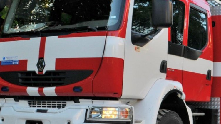 Снимка: Архив, Булфото