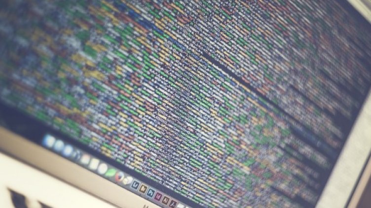 снимка: pixabay