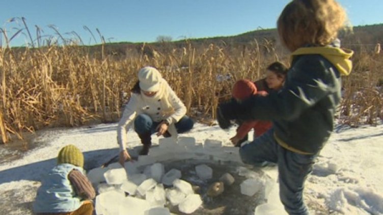 Снимка: Кадър bTV