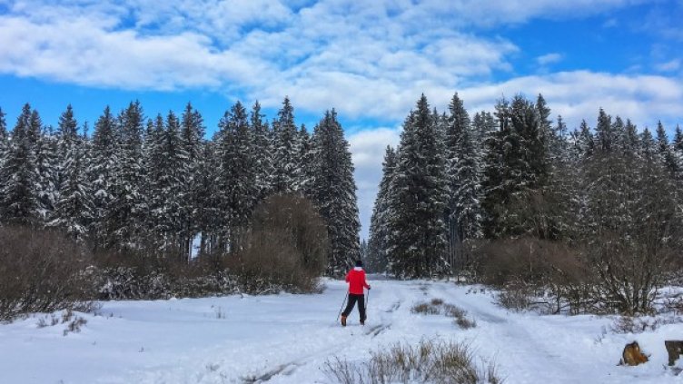 Снимка:  Reuters