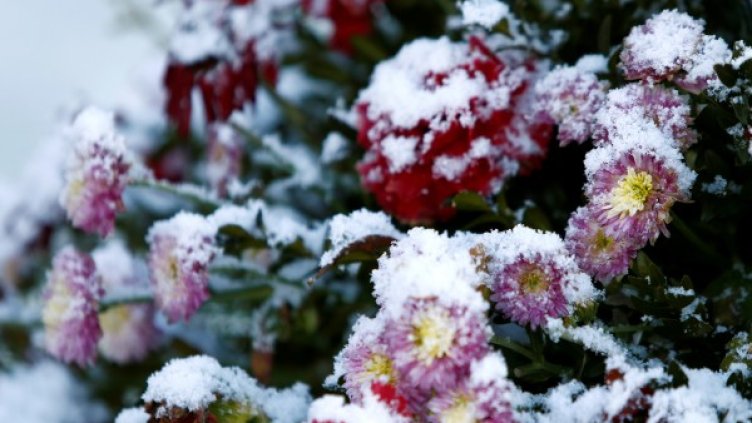 Снимка:  Reuters