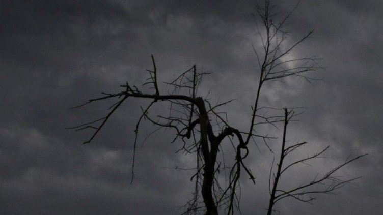 Снимка: Архив, Reuters