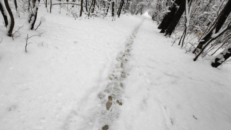 Снимка: Олег Попов, Dnes.bg