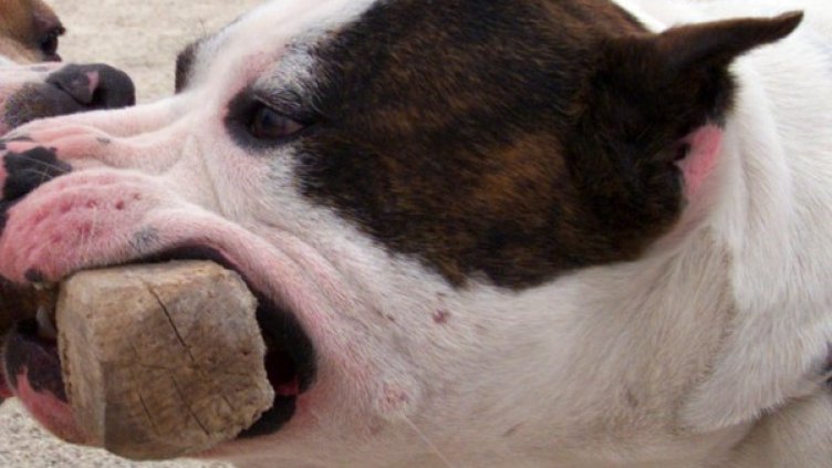 Снимка: архив Reuters