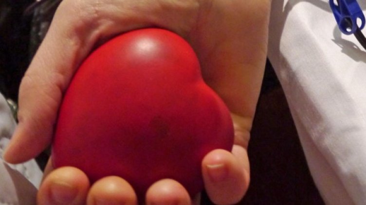 Снимка: Булфото, архив