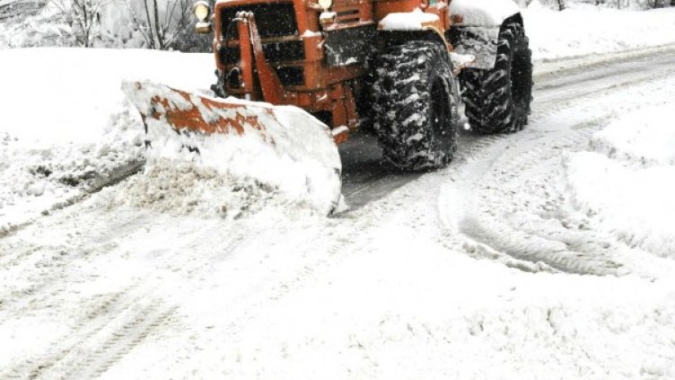 Архив: БУлфото