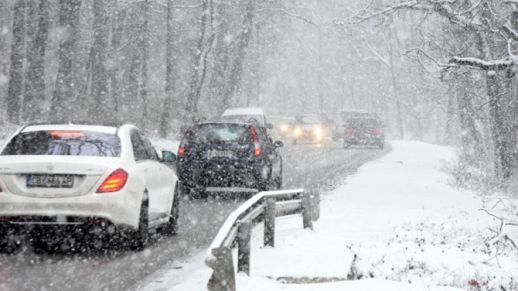 Архив: Булфото