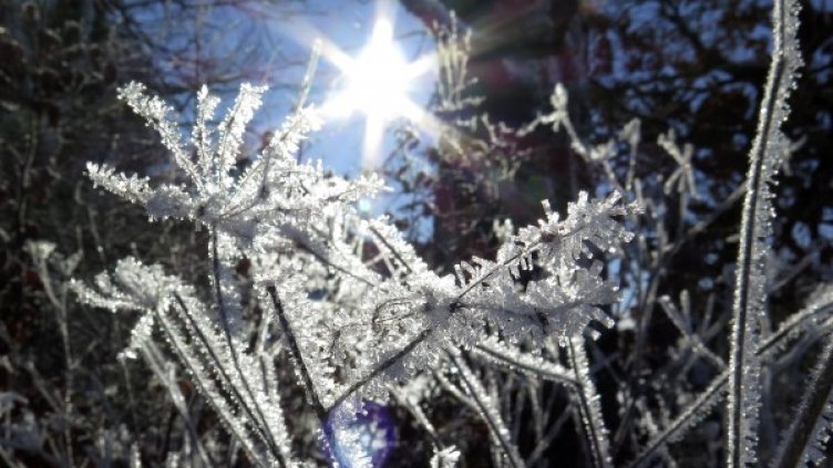 Снимка: архив Reuters