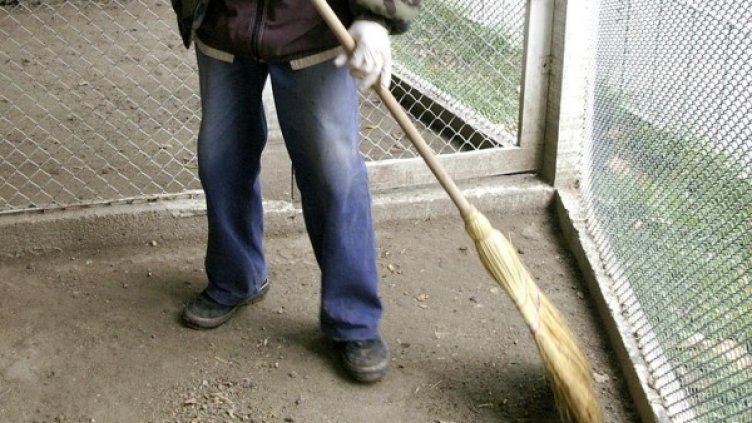 Архив: Булфото