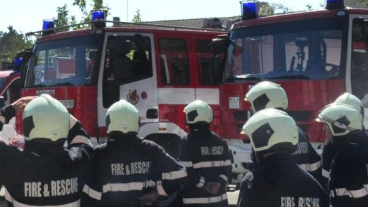 Снимка: Булфото, архив