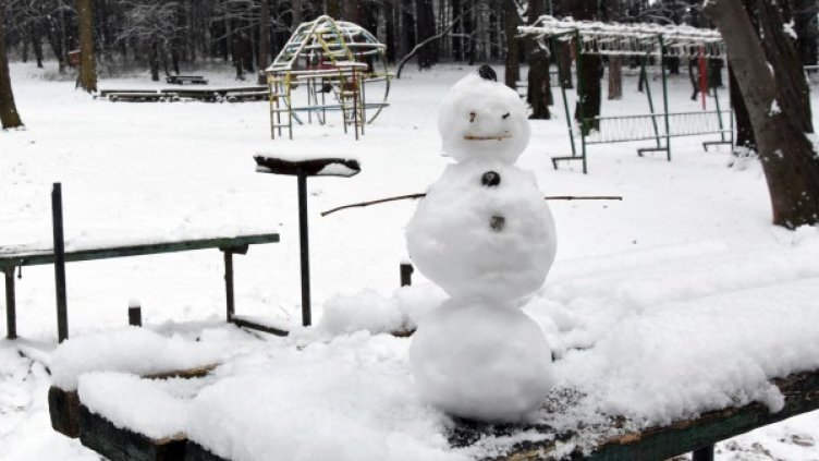 Снимка: Булфото