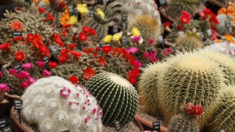 Снимка: Архив, Reuters