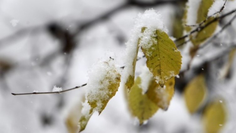 Снимка: Олег Попов, Dnes.bg