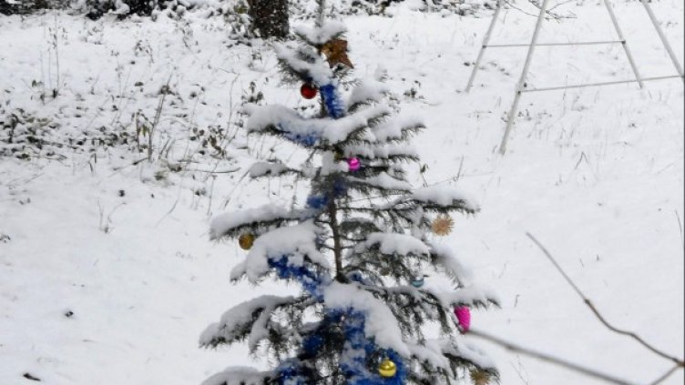 Архив: Булфото