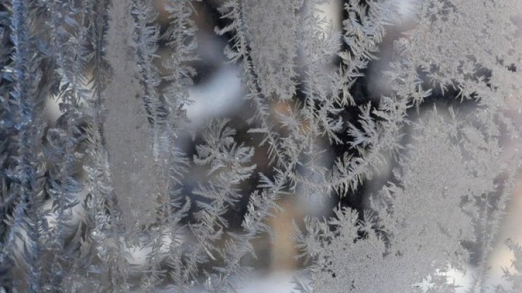 Снимка: архив, БулФото