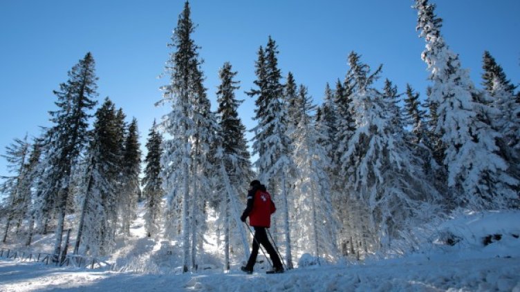 Не всички са недоволни от снега. Снимка: БТА