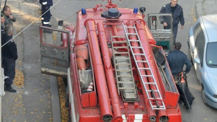 Архив: Булфото