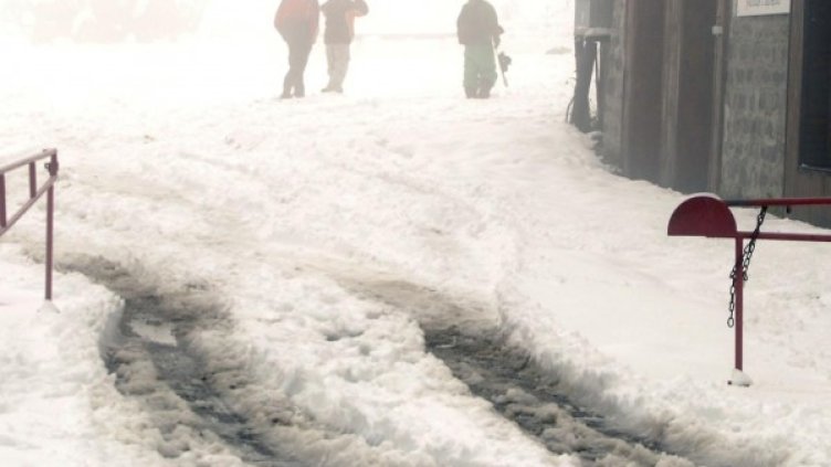 Снимка: Булфото